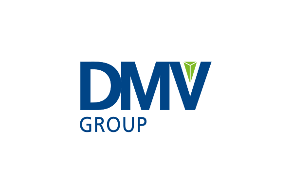 logo dmv group